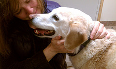 image from farm6.static.flickr.com image from farm6.static.flickr.com